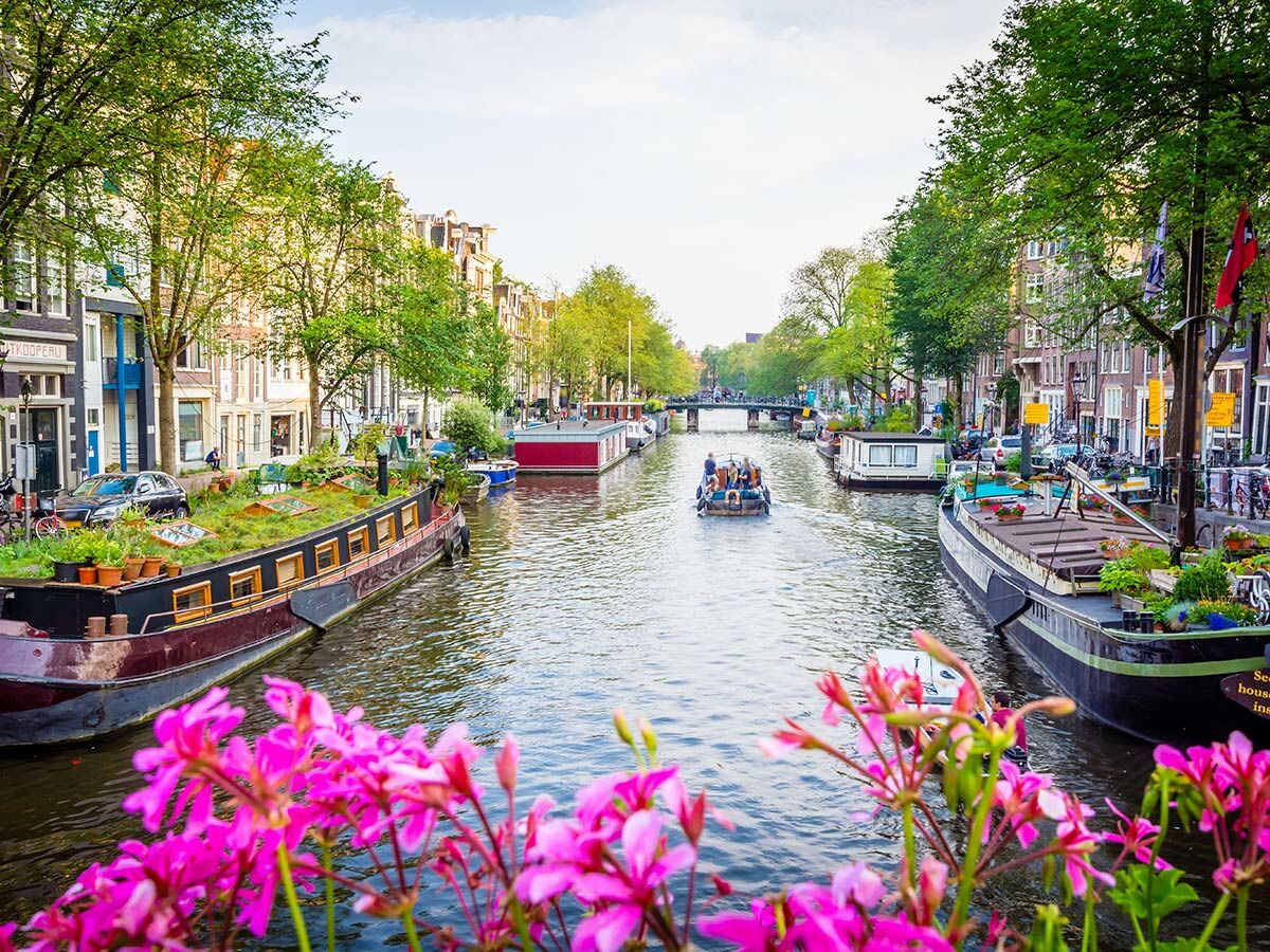 Malerische Gracht in Amsterdam mit bunten Hausbooten, historischen Gebäuden, Bäumen und einem Boot voller Menschen, umrahmt von pinken Blüten.
