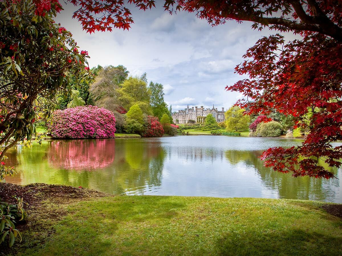 Blick auf einen malerischen Schlossgarten mit See, pinken Rhododendren, roten Ahornblättern und einem Herrenhaus im Hintergrund.