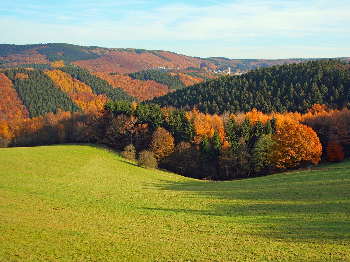 Malerische Herbstlandschaft mit bunten Wäldern, grünen Hügeln und einem sonnigen Feld unter blauem Himmel.