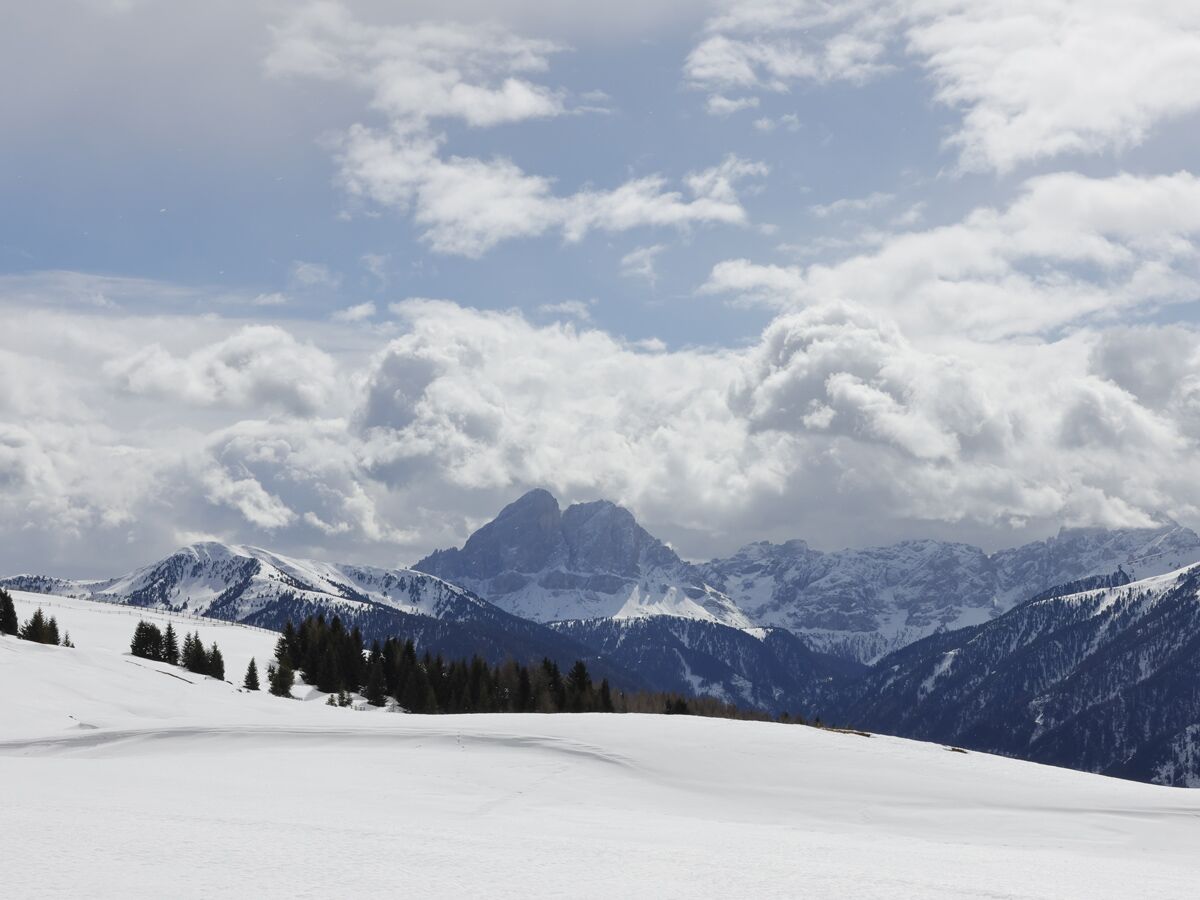 Weite, schneebedeckte Winterlandschaft mit Nadelbäumen und imposanten, schneebedeckten Bergen unter einem bewölkten Himmel.