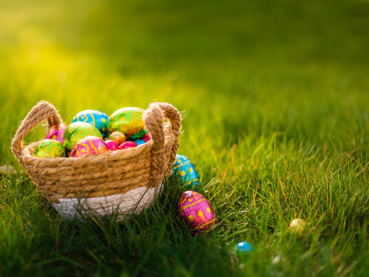 Ein rustikaler geflochtener Korb voller bunter Schokoladen-Ostereier, verpackt in Folie, liegt im strahlend grünen Gras im Sonnenlicht.