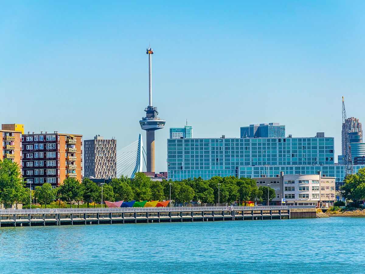 Blick über den Hafen von Rotterdam mit Euromast, Erasmusbrücke, modernen Gebäuden und bunten Kunstinstallationen am Ufer bei blauem Himmel.