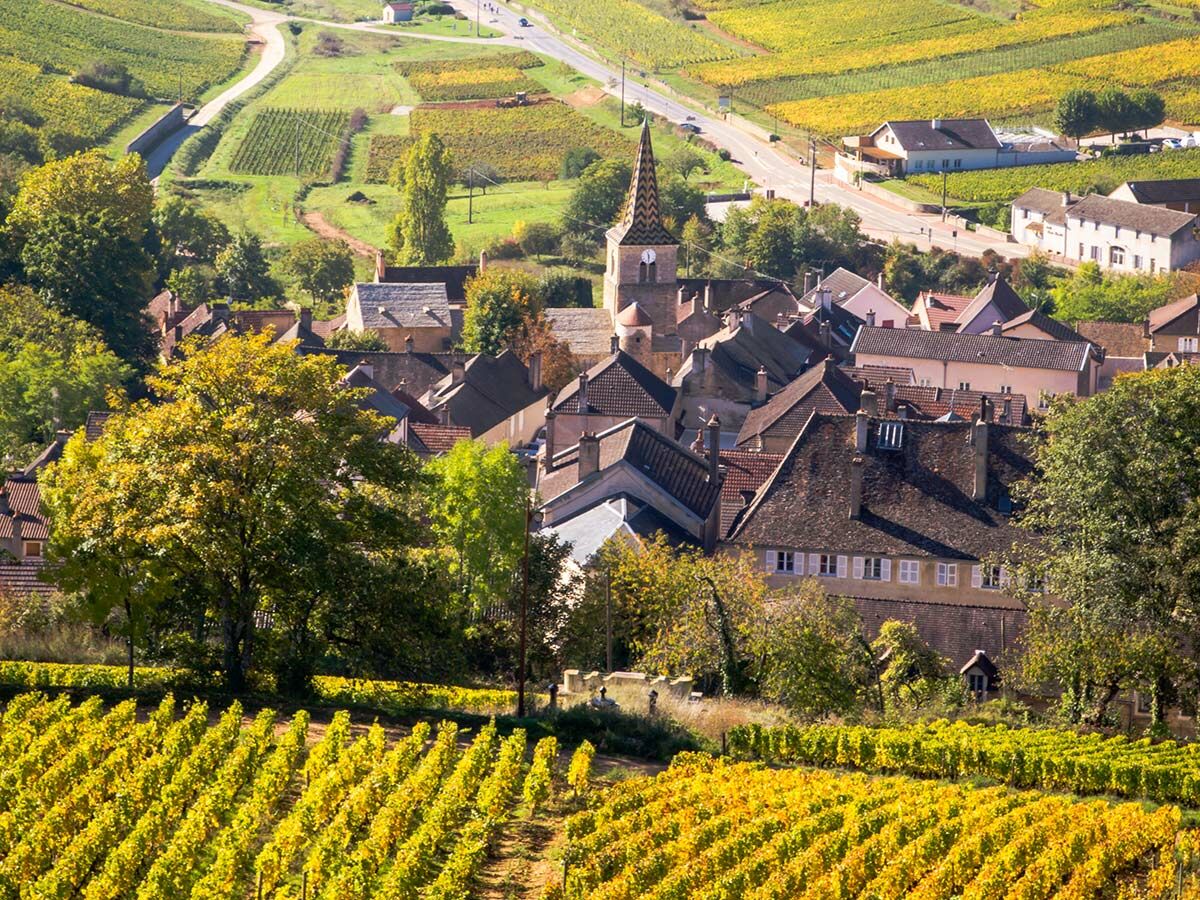 Herbstliche Landschaft mit goldenen Weinbergen, einem charmanten Dorf mit Kirche und roten Dächern sowie einer Straße unter blauem Himmel.