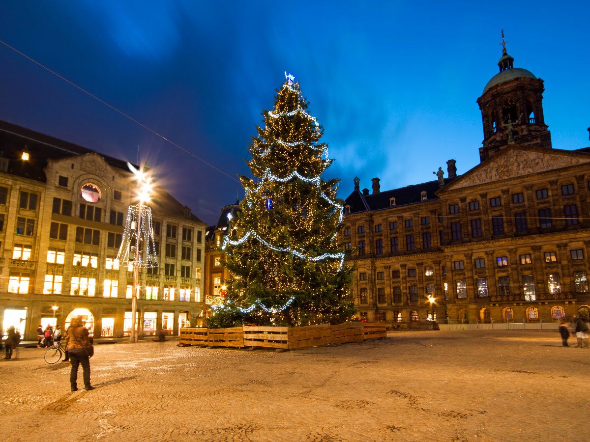 Großer Weihnachtsbaum auf dem Dam Platz in Amsterdam bei Nacht, umgeben von historischen Gebäuden und festlicher Beleuchtung.