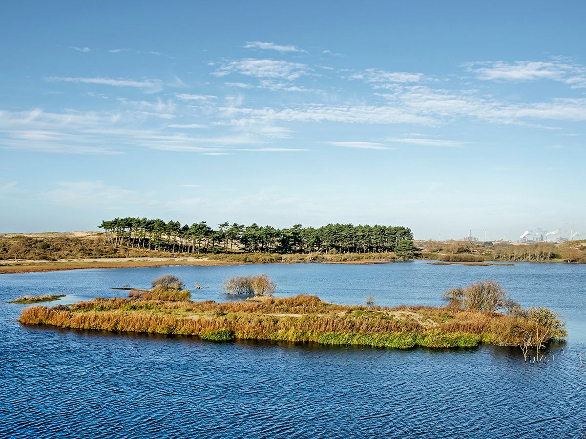 Weitläufiger Dünensee mit kleiner Insel, Baumreihe, Sanddünen und Industrieanlagen am Horizont unter blauem Himmel.