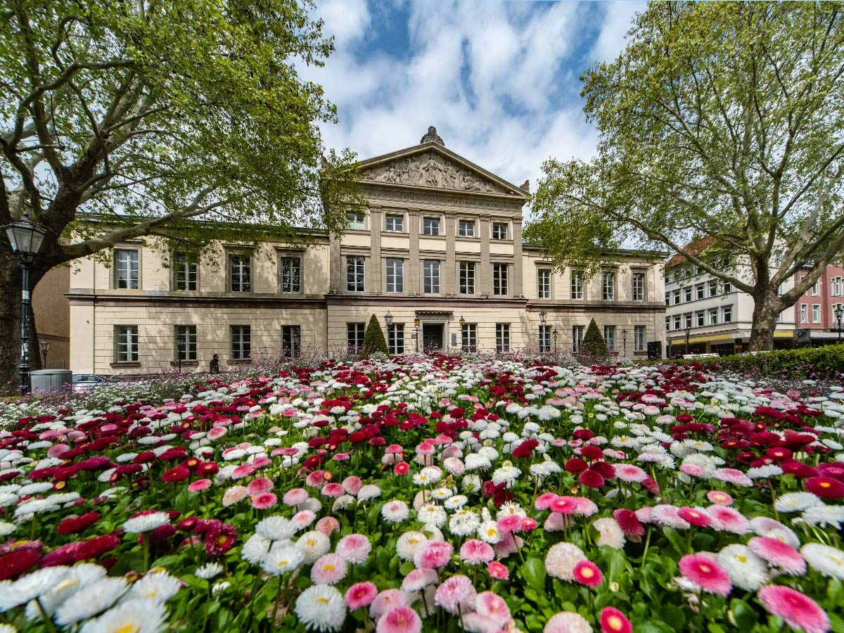 Das Hauptgebäude der Universität Bonn im Frühling, umgeben von einem Blütenmeer aus roten, rosa und weißen Gänseblümchen.