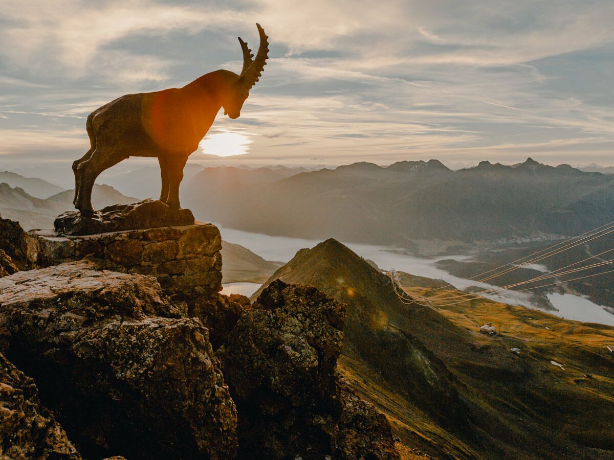 Majestätische Steinbock-Statue bei Sonnenuntergang auf Berggipfel mit Panoramablick über Alpentäler und See.
