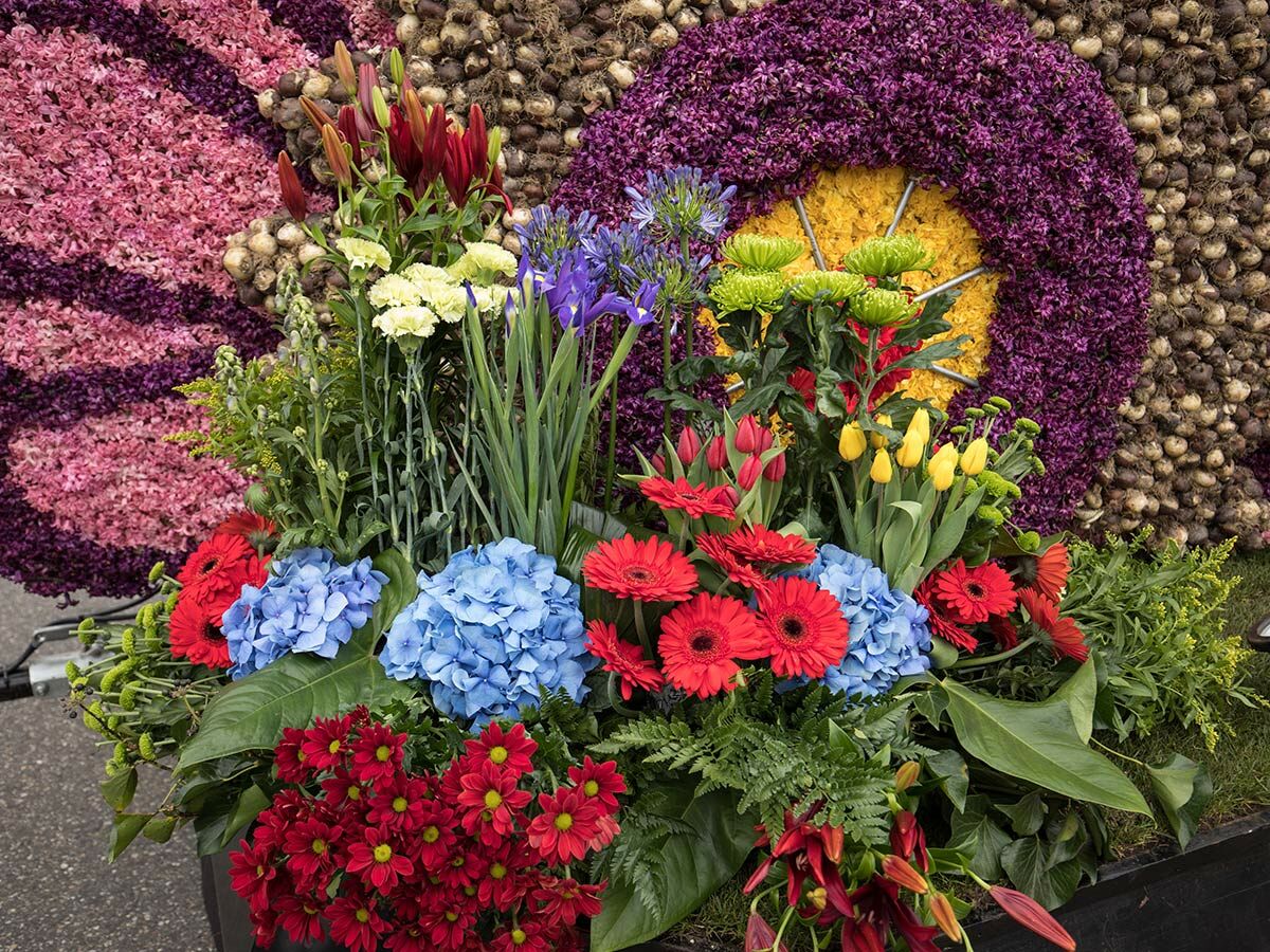 Farbenprächtiges Blumenarrangement mit blauen Hortensien, roten Gerbera, gelben Tulpen und Lilien vor floralem Musterhintergrund.