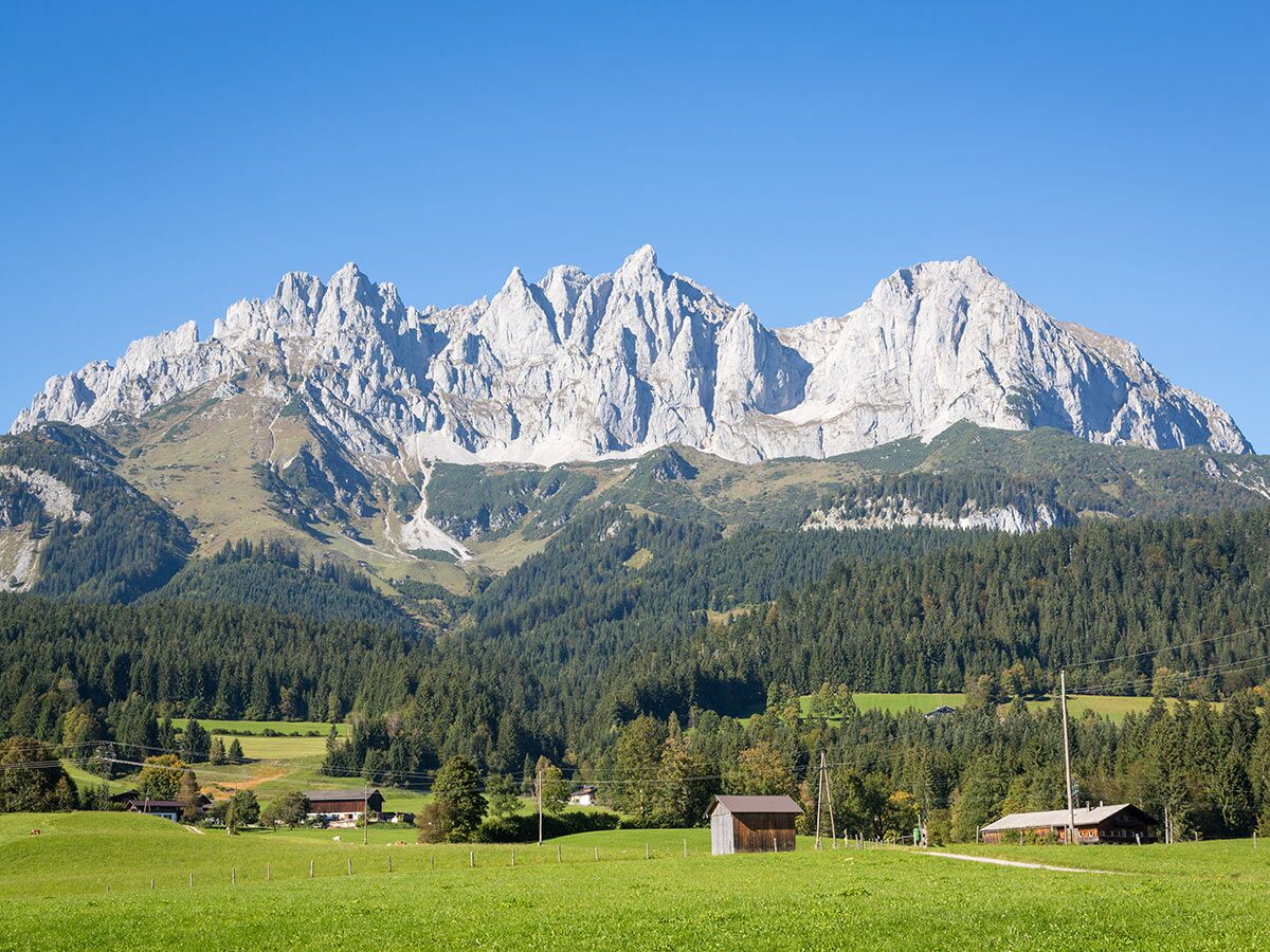 Eine weite Alpenlandschaft mit spitzen Berggipfeln, einem dichten Wald und grünen Wiesen mit Bauernhäusern unter blauem Himmel.
