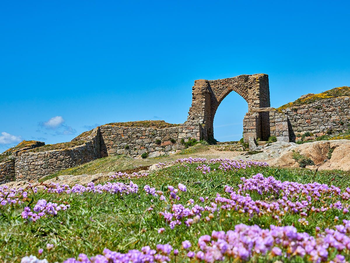 Historische Steinruine mit einem großen Bogen auf einem grünen Hügel voller lila Blumen unter blauem Himmel.