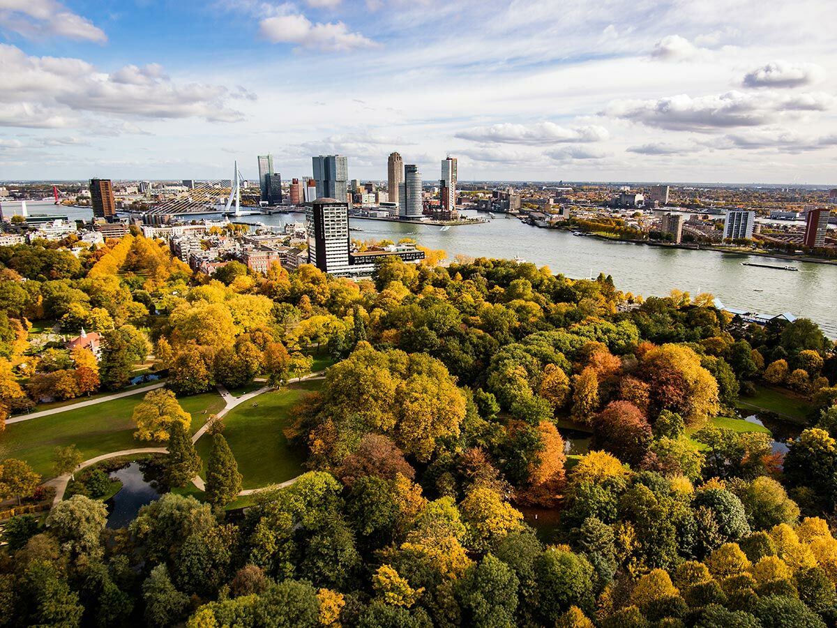 Luftaufnahme des herbstlichen Het Park in Rotterdam mit bunten Bäumen, Teichen und Wegen, dahinter die Erasmusbrücke und die Stadtsilhouette.