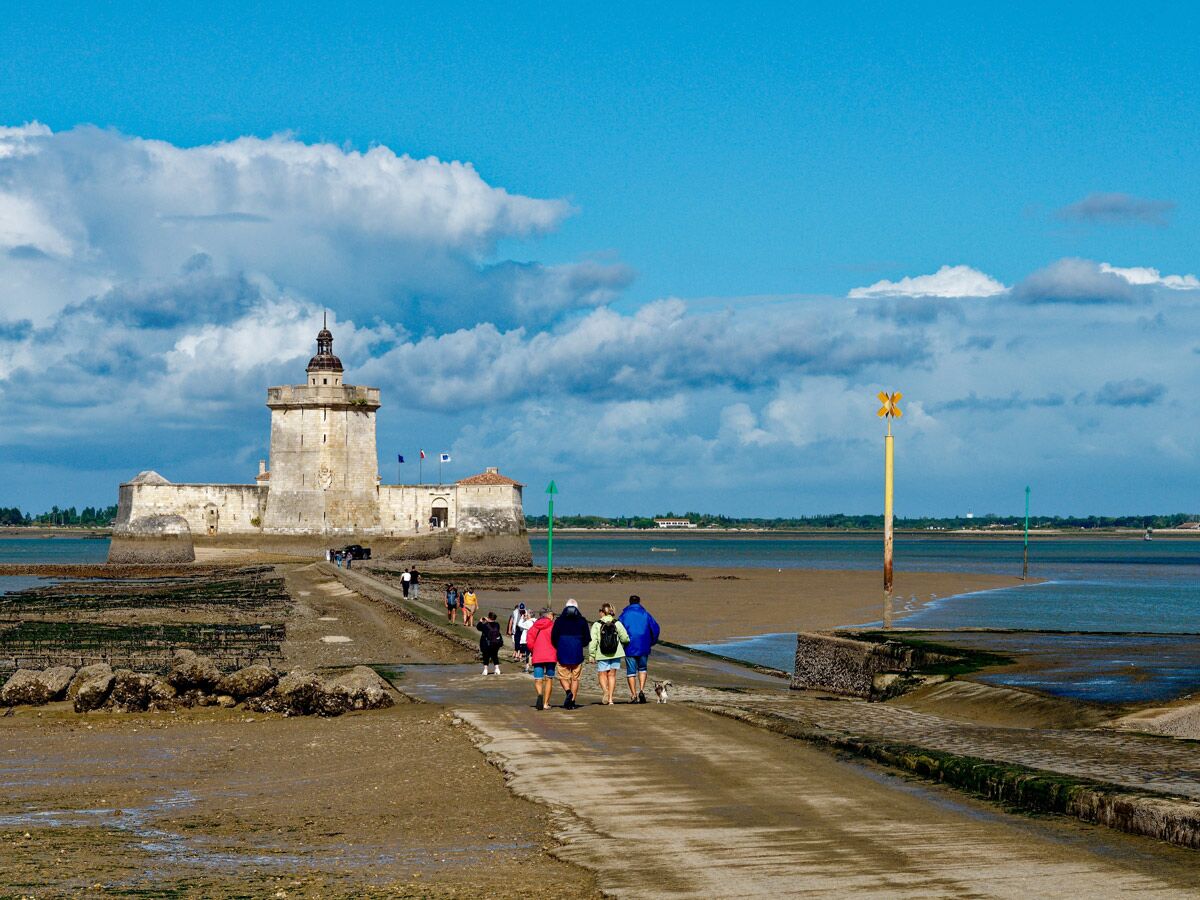 Historisches Fort Louvois in Frankreich bei Ebbe, mit Touristen, die über einen Damm zur Steinfestung und Austernbänken gehen.