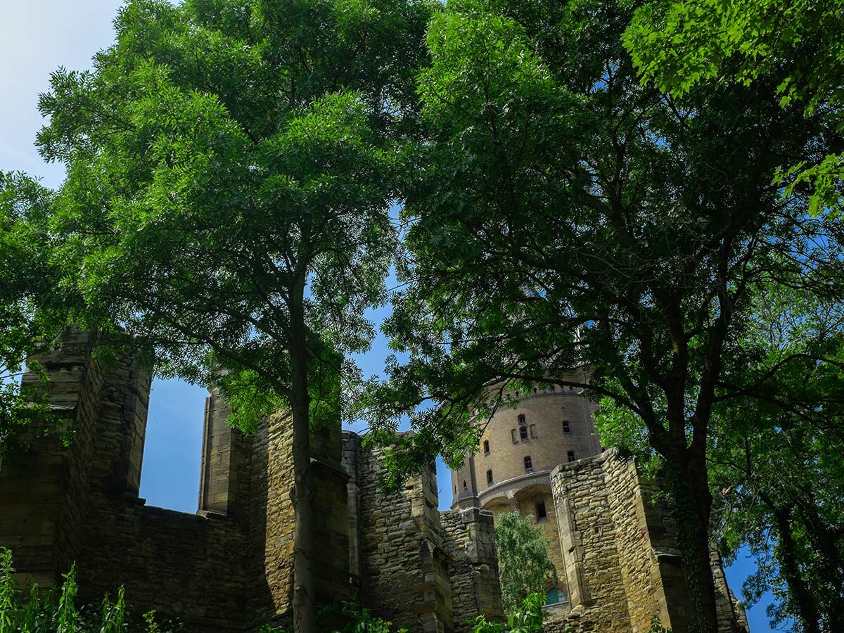 Historische Steinruine mit Rundturm, umgeben von dichten grünen Bäumen unter klarem blauem Himmel, zeigt alte Architektur.