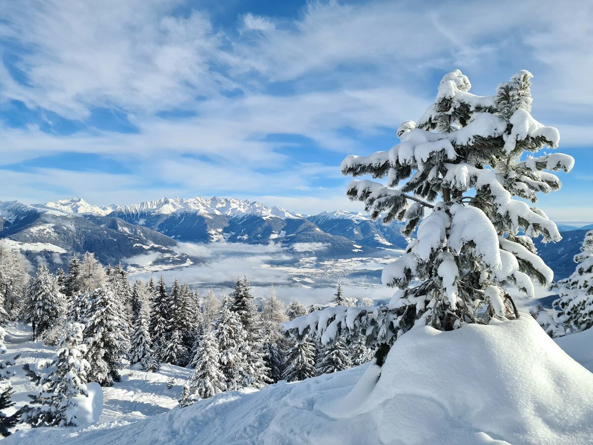 Winterliche Alpenlandschaft: Tief verschneite Bäume im Vordergrund, darunter ein nebliges Tal und majestätische Berggipfel.