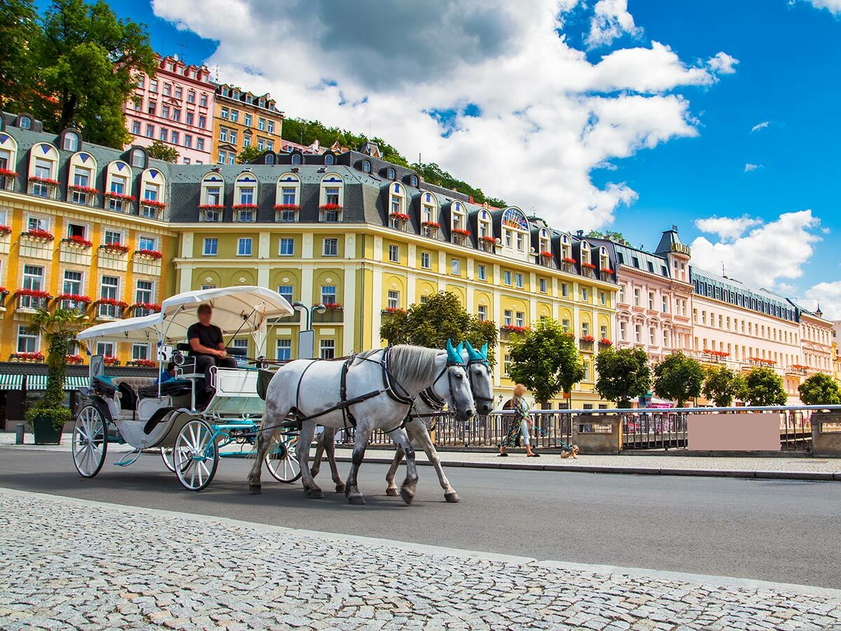 Historische Pferdekutsche mit zwei weißen Pferden und Fahrer auf einer Straße in Karlovy Vary, umgeben von bunten Gebäuden unter blauem Himmel.