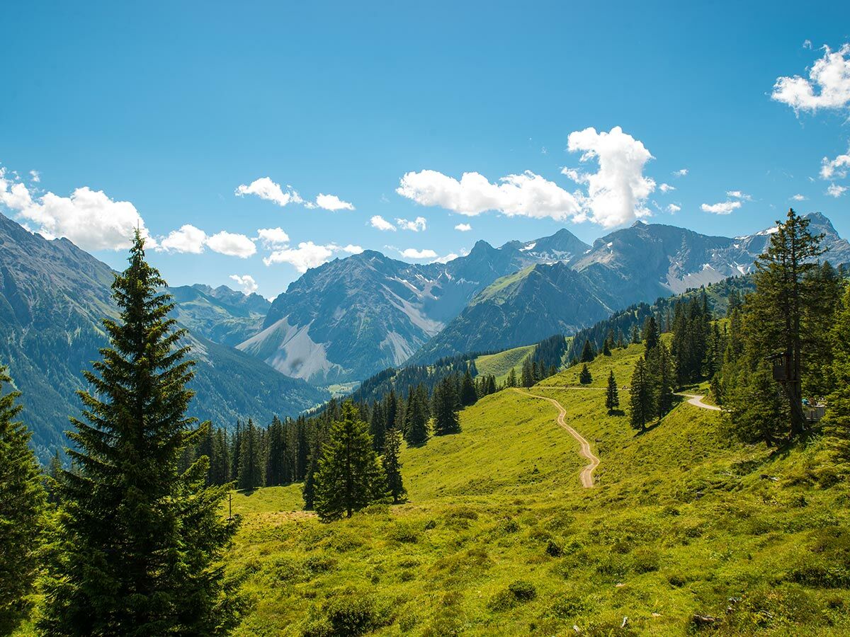 Eine grüne Alpenlandschaft mit hohen Bergen, Nadelbäumen und einem geschwungenen Wanderweg unter blauem Himmel mit Wolken.