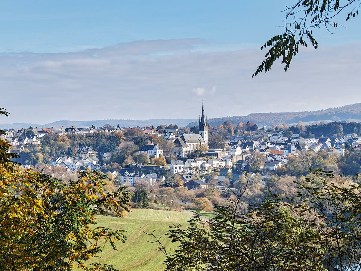 Panoramablick auf idyllische Kleinstadt mit hoher Kirche, umgeben von herbstlichen Wäldern und grünen Feldern unter blauem Himmel.