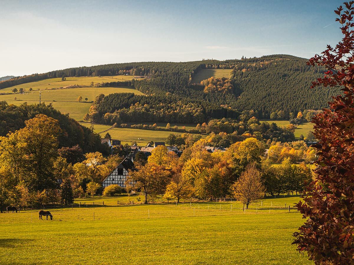 Idyllische Herbstlandschaft mit Dorf, Fachwerkhaus, Wäldern, grünen Wiesen und grasenden Pferden an sonnigem Tag.