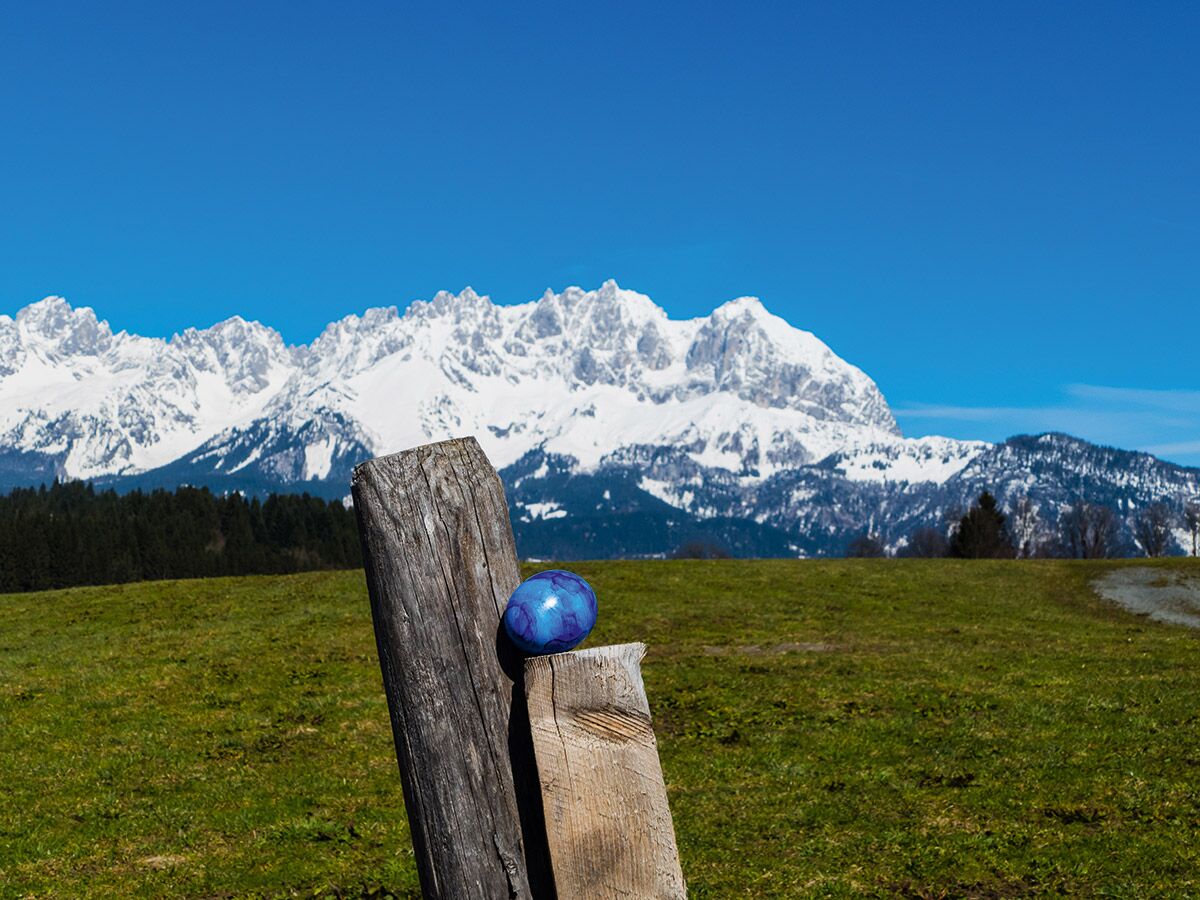 Ein glänzendes blaues Osterei liegt auf einem Holzzaunpfahl vor einer weiten grünen Wiese und schneebedeckten Bergen unter blauem Himmel.