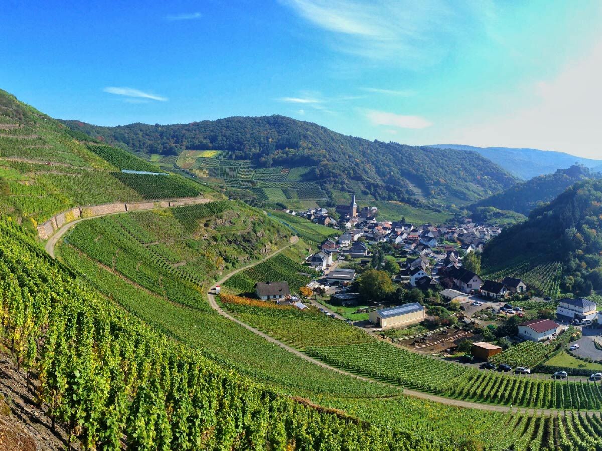 Panoramablick auf terrassierte Weinberge, ein charmantes Dorf und bewaldete Hügel im Moseltal unter blauem Himmel.