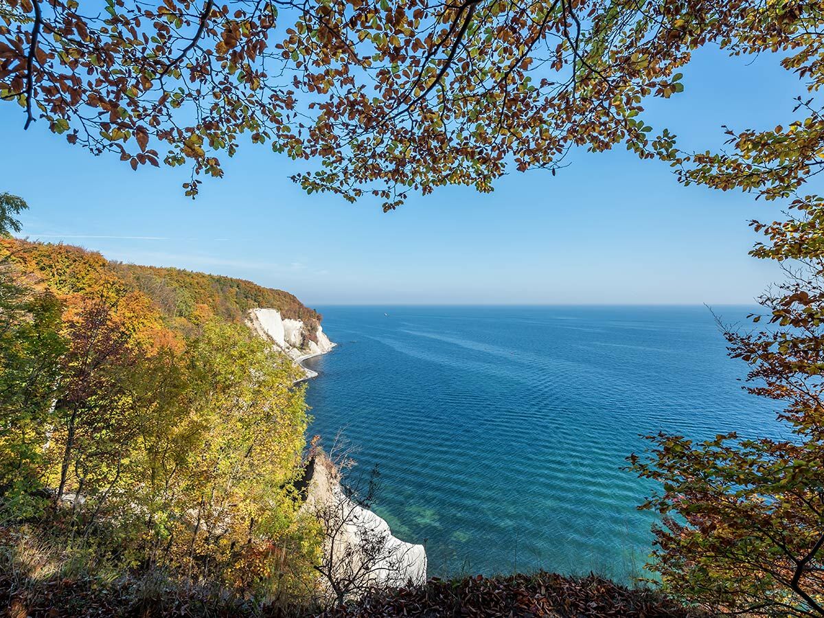 Herbstliche Küstenlandschaft mit weißen Kreidefelsen, einem farbenfrohen Wald und blauem Meer unter strahlendem Himmel.