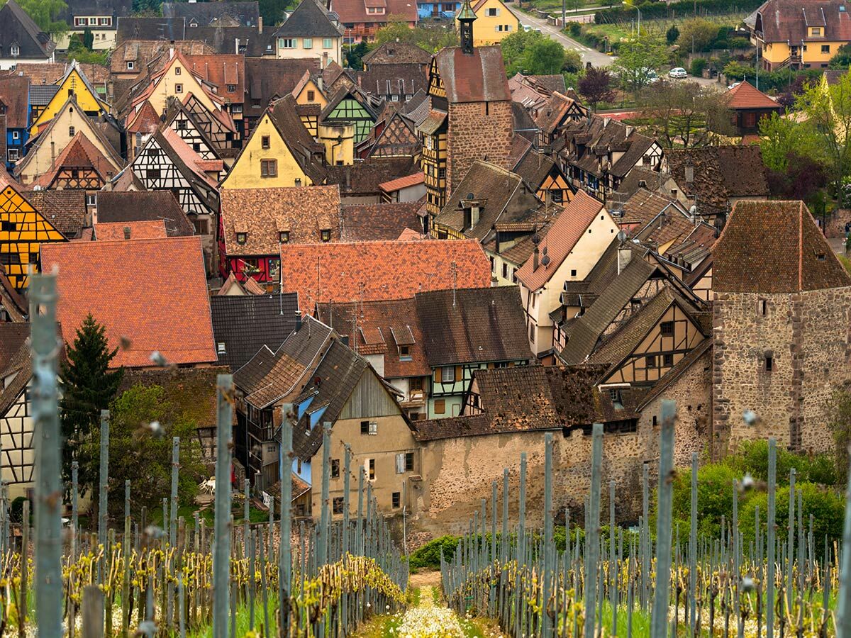 Malerisches europäisches Dorf mit bunten Fachwerkhäusern, roten Dächern, umgeben von grünen Weinbergen im Frühling.