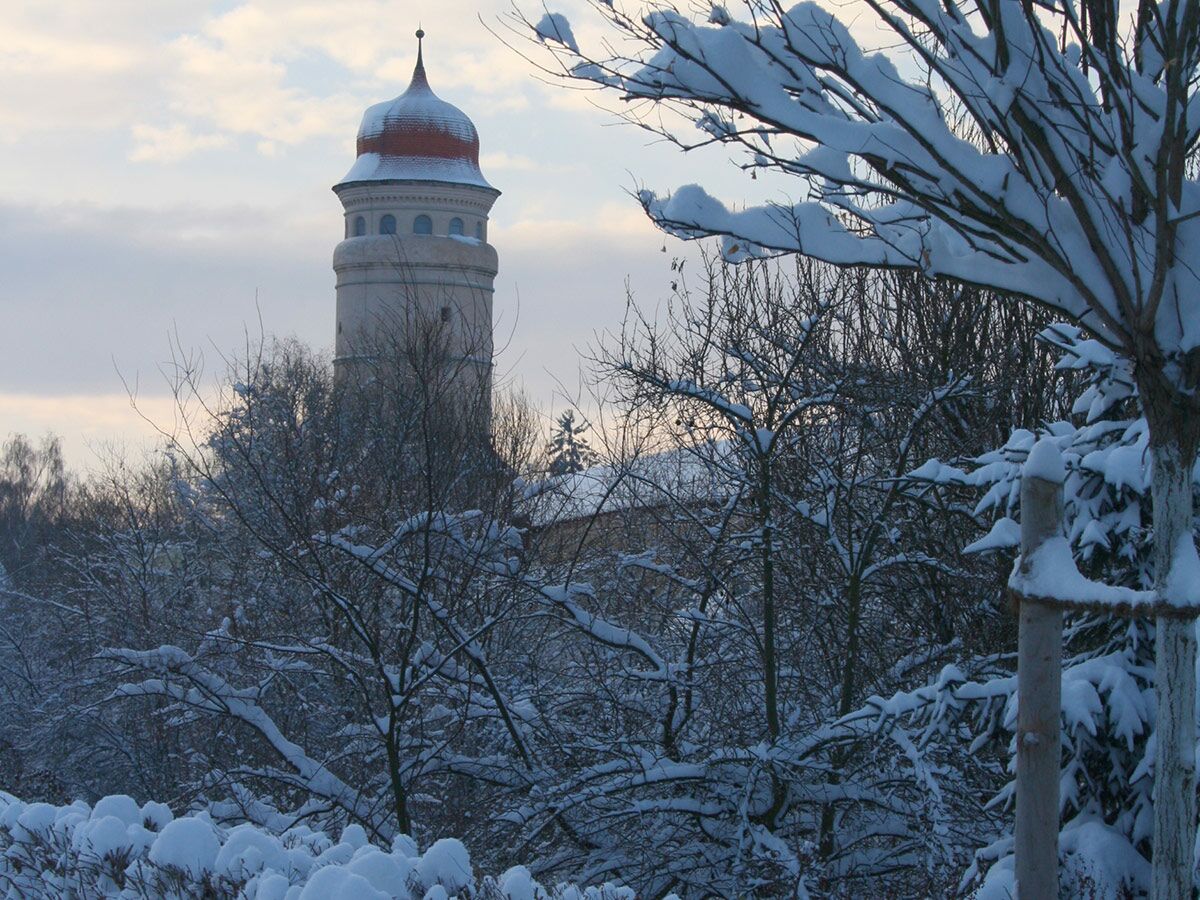 Verschneite Winterlandschaft mit kahlen Bäumen und Sträuchern im Vordergrund, dahinter ein historischer Turm mit rotem Dach.