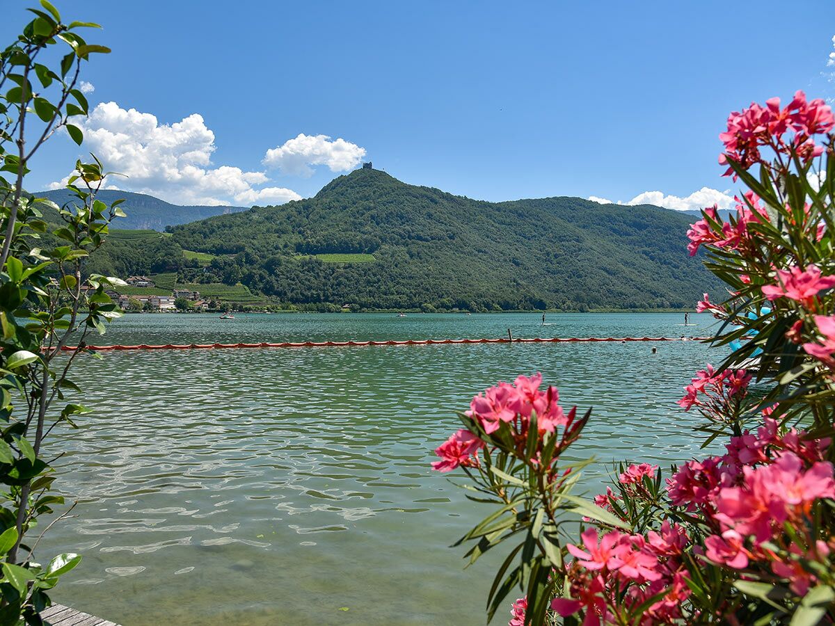 Sommerlicher See mit pinken Oleanderblüten am Ufer, dahinter bewaldete Berge, ein Dorf und eine Burgruine. Paddleboarder auf dem Wasser.
