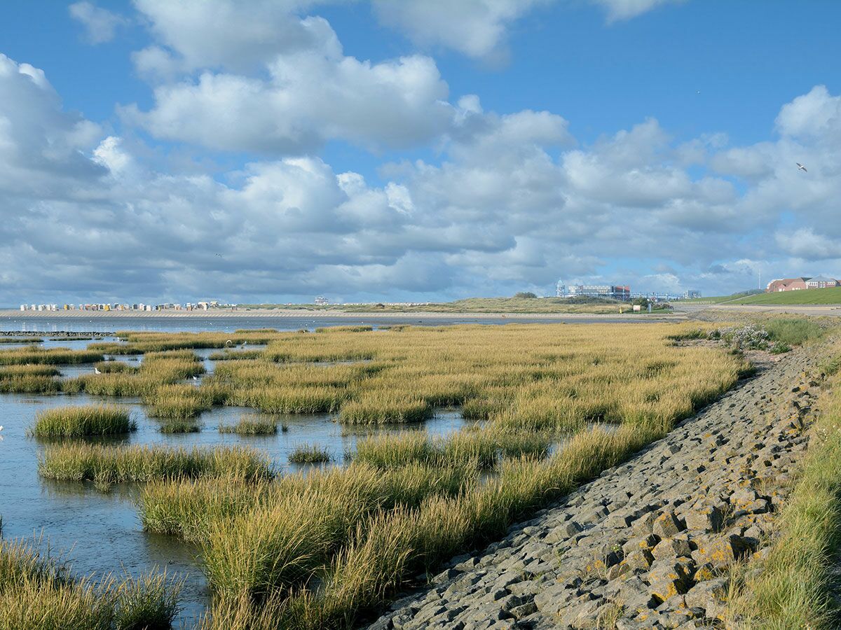 Weitblick über Nordsee-Salzwiesen zum Strand mit bunten Strandkörben und einer Küstenstadt unter bewölktem Himmel.