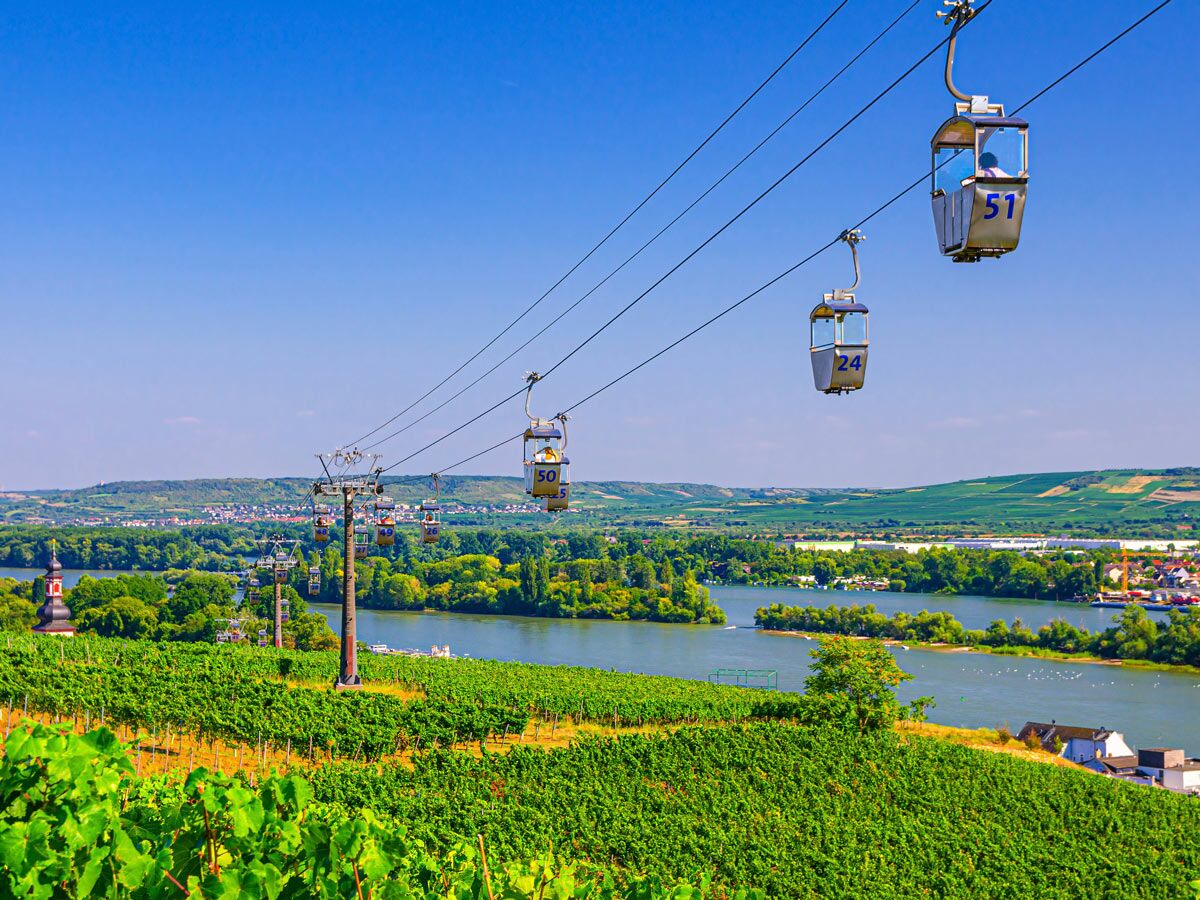 Gondelbahn schwebt über grüne Weinberge am Rhein mit Blick auf Rüdesheim und umliegende Landschaft im Sommer.