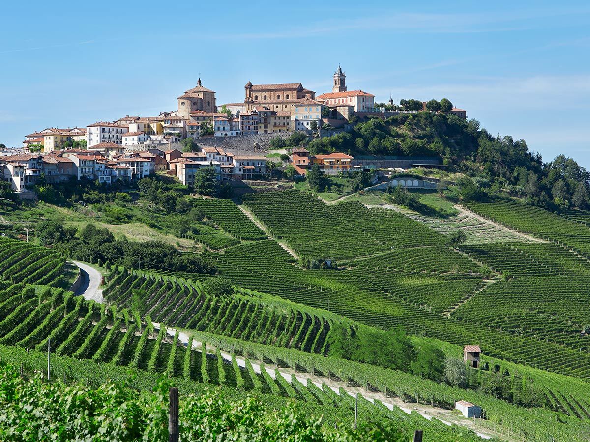 Malerische Hügellandschaft der Langhe mit weitläufigen Weinbergen und einem historischen Dorf auf einem Hügel unter blauem Himmel.