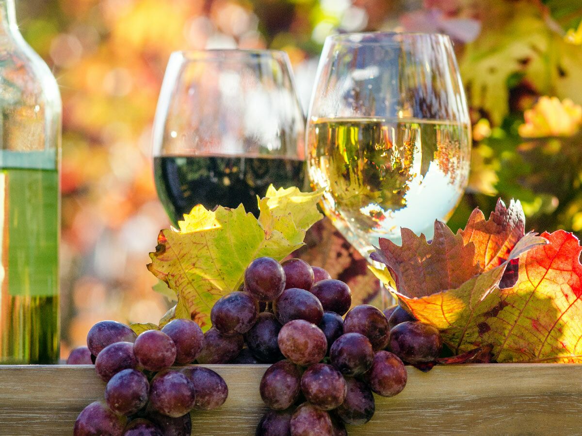 Zwei Weingläser (Rot- &amp; Weißwein), Trauben und Herbstblätter vor unscharfem Weinberg-Hintergrund.
