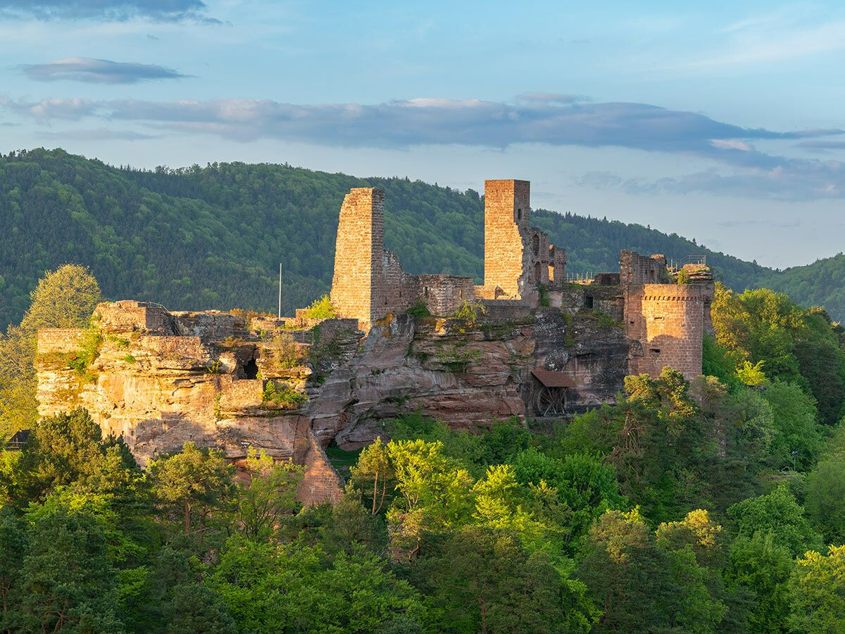 Blick auf eine historische Burgruine auf einem Felsen, umgeben von grünen Wäldern und Hügeln im Pfälzerwald bei Abendlicht.