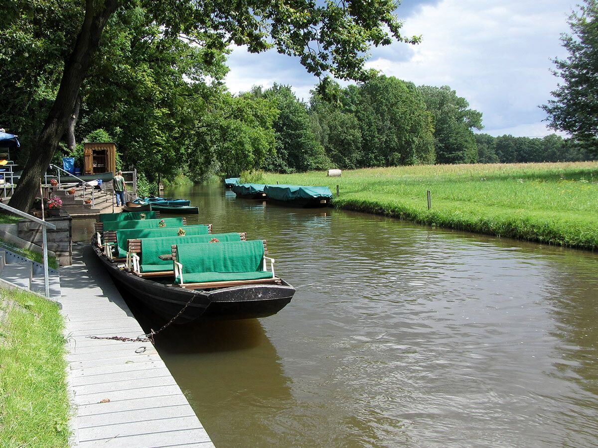 Mehrere Kähne mit grünen Sitzpolstern am Flussufer, umgeben von üppiger Natur und Bäumen unter bewölktem Himmel.