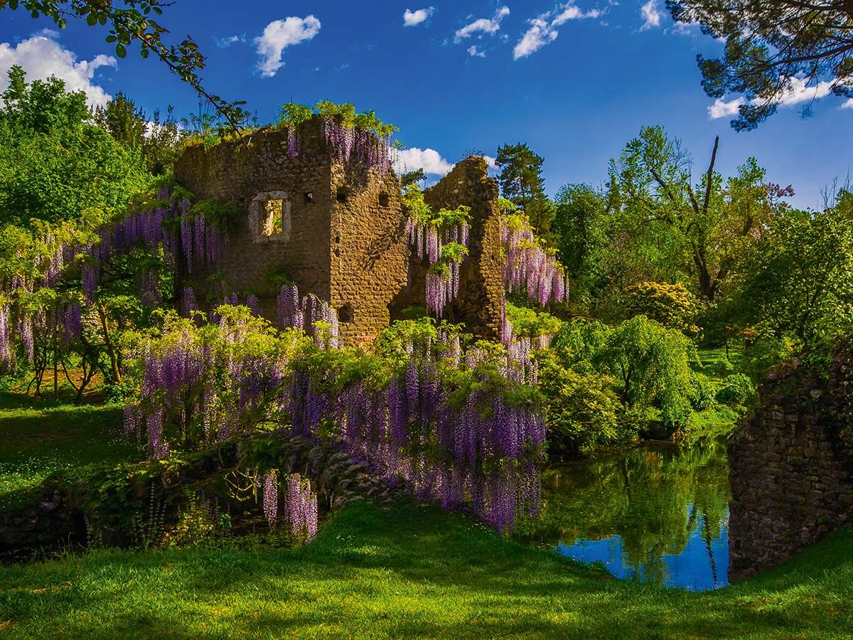 Lebhafte lila Glyzinien umranken alte Steinruinen in einem üppigen grünen Garten mit einem ruhigen Teich, der den blauen Himmel spiegelt.