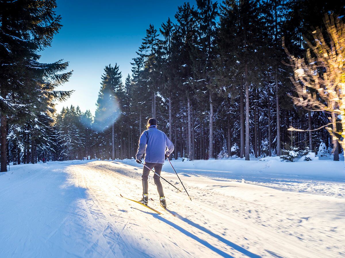 Eine Person beim Langlauf auf einer schneebedeckten Loipe durch einen sonnigen Winterwald mit hohen Bäumen und langen Schatten.