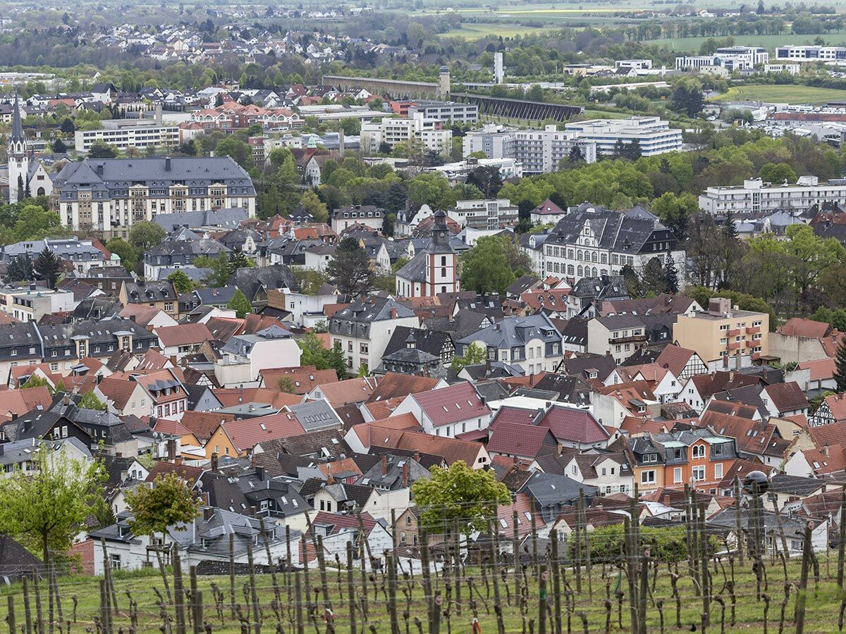 Weitwinkelansicht einer europäischen Stadt mit dicht gedrängten Gebäuden, einer Kirche, Weinbergen im Vordergrund und Feldern im Hintergrund.