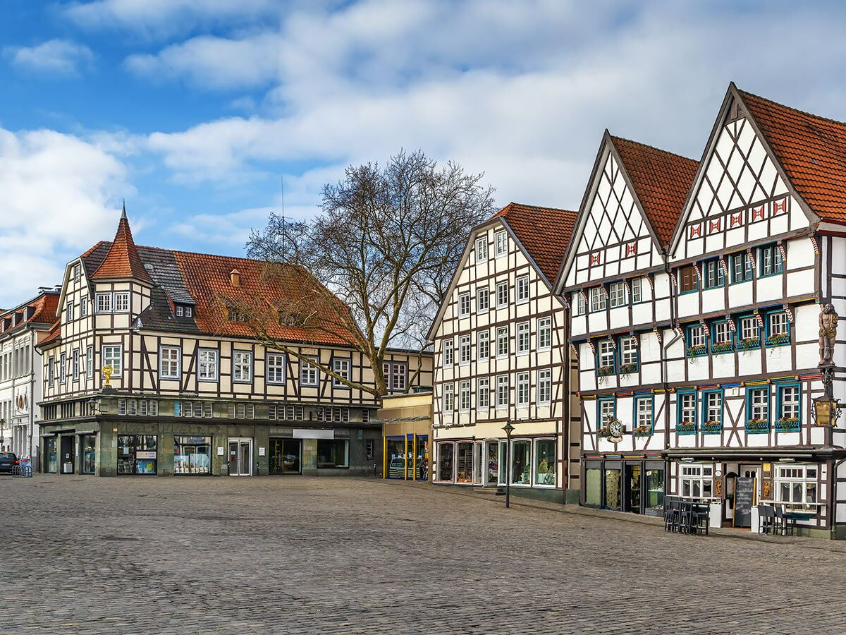 Ein idyllischer Marktplatz in einer historischen deutschen Altstadt mit mehreren gut erhaltenen Fachwerkhäusern und einem großen Baum unter blauem Himmel.