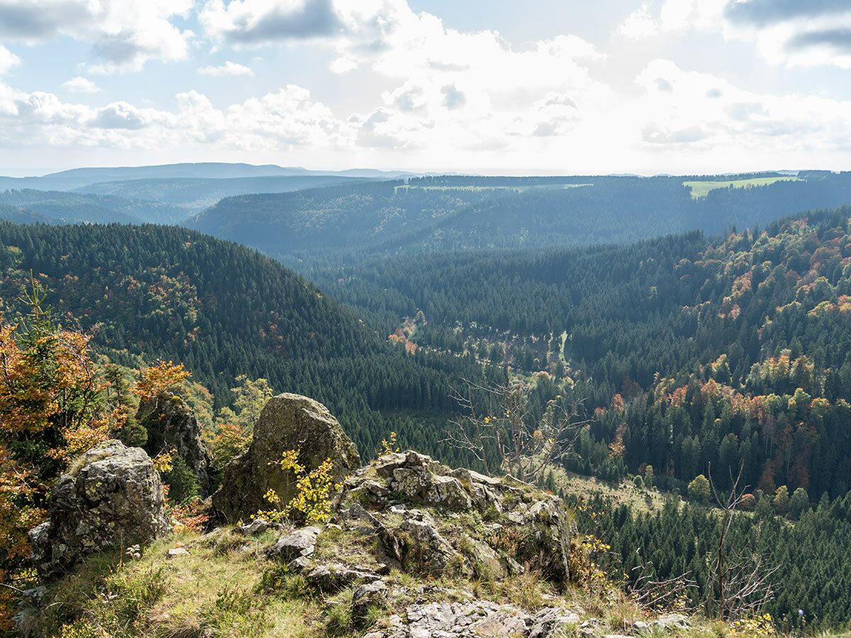 Panoramablick über ein weites, dicht bewaldetes Tal im Herbst mit felsigem Vordergrund und Bergen im Hintergrund.