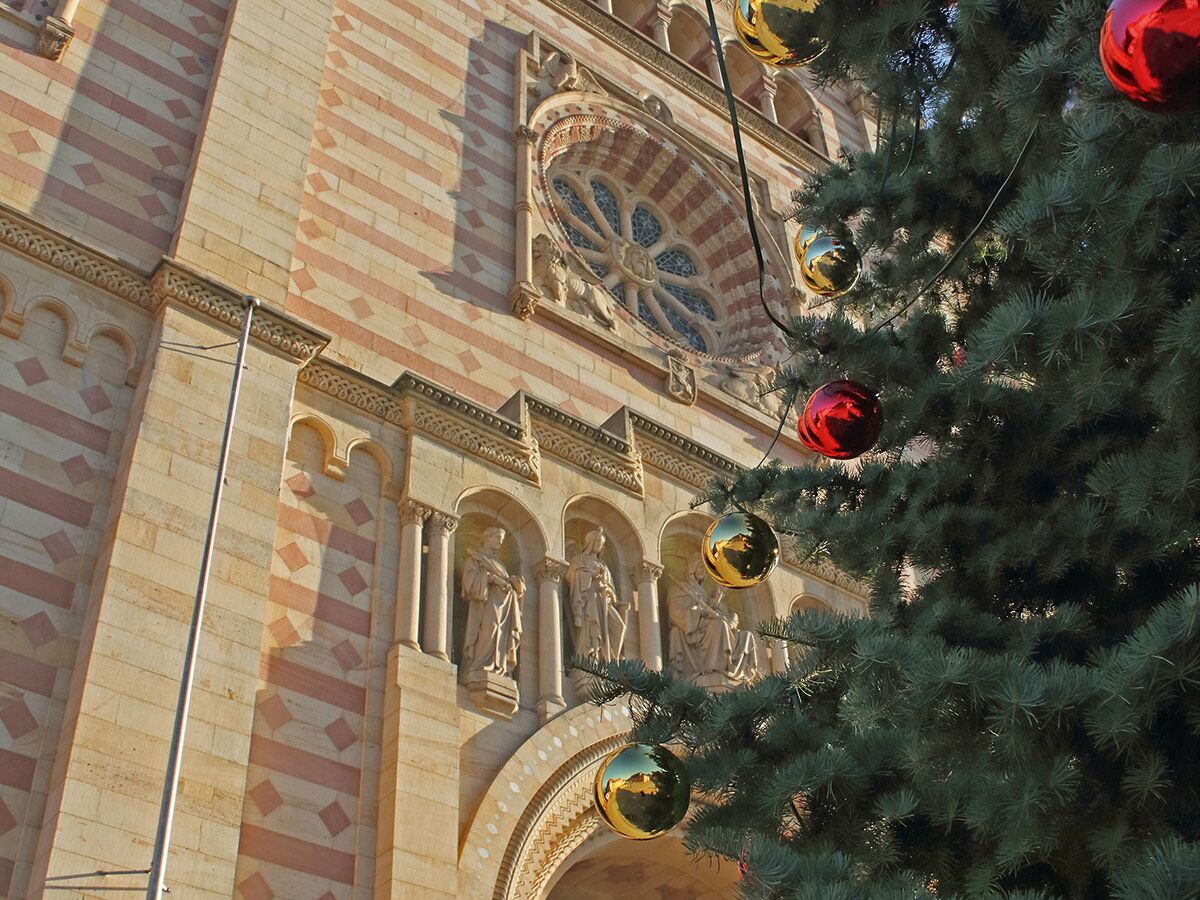 Prächtiger Speyerer Dom mit gestreifter Fassade und Rosette, teilweise verdeckt von einem festlichen Weihnachtsbaum.