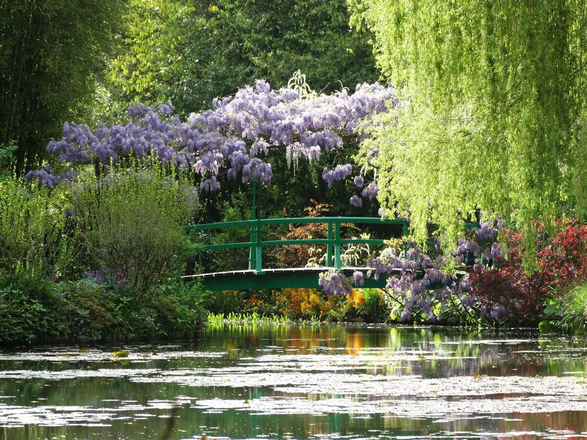 Grüne japanische Brücke über Seerosenteich in Monets Garten Giverny, umgeben von lila Glyzinien.