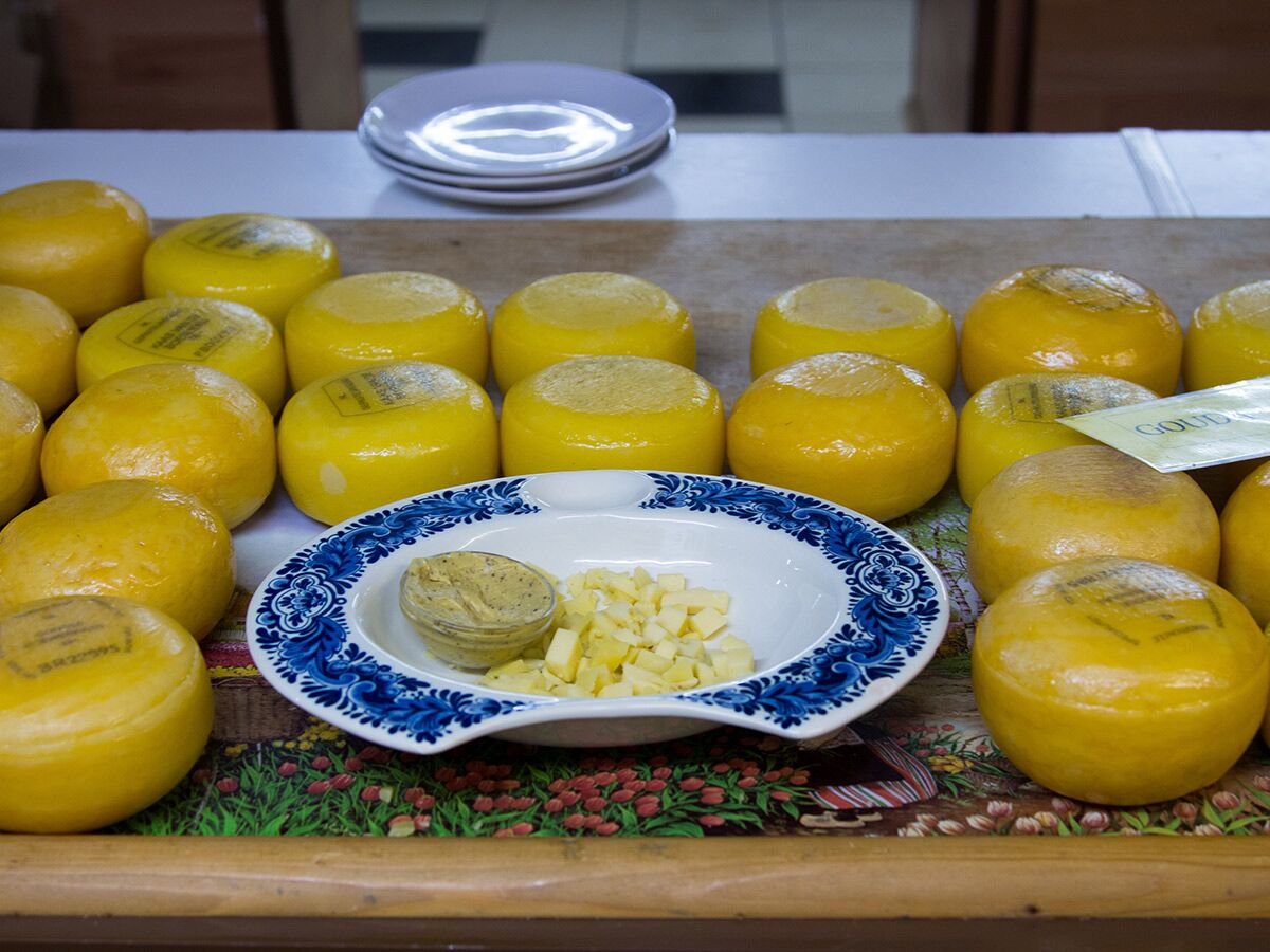 Zahlreiche gelbe Käselaibe (Gouda, Edamer) auf einer bunten Matte, dazu Käsewürfel und Senf-Dip auf Teller.