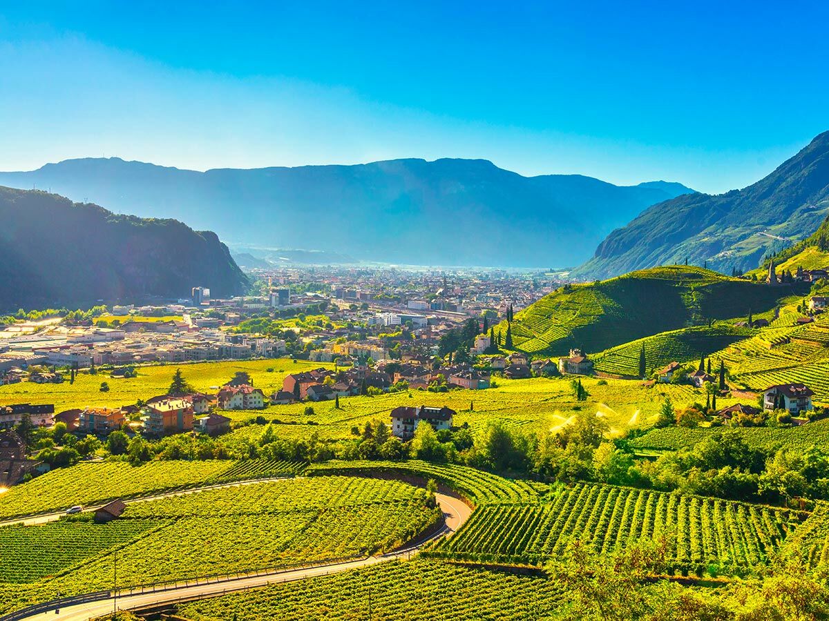 Panoramablick auf die Stadt Bozen in Südtirol mit grünen Weinbergen im Vordergrund, umgeben von majestätischen Bergen.