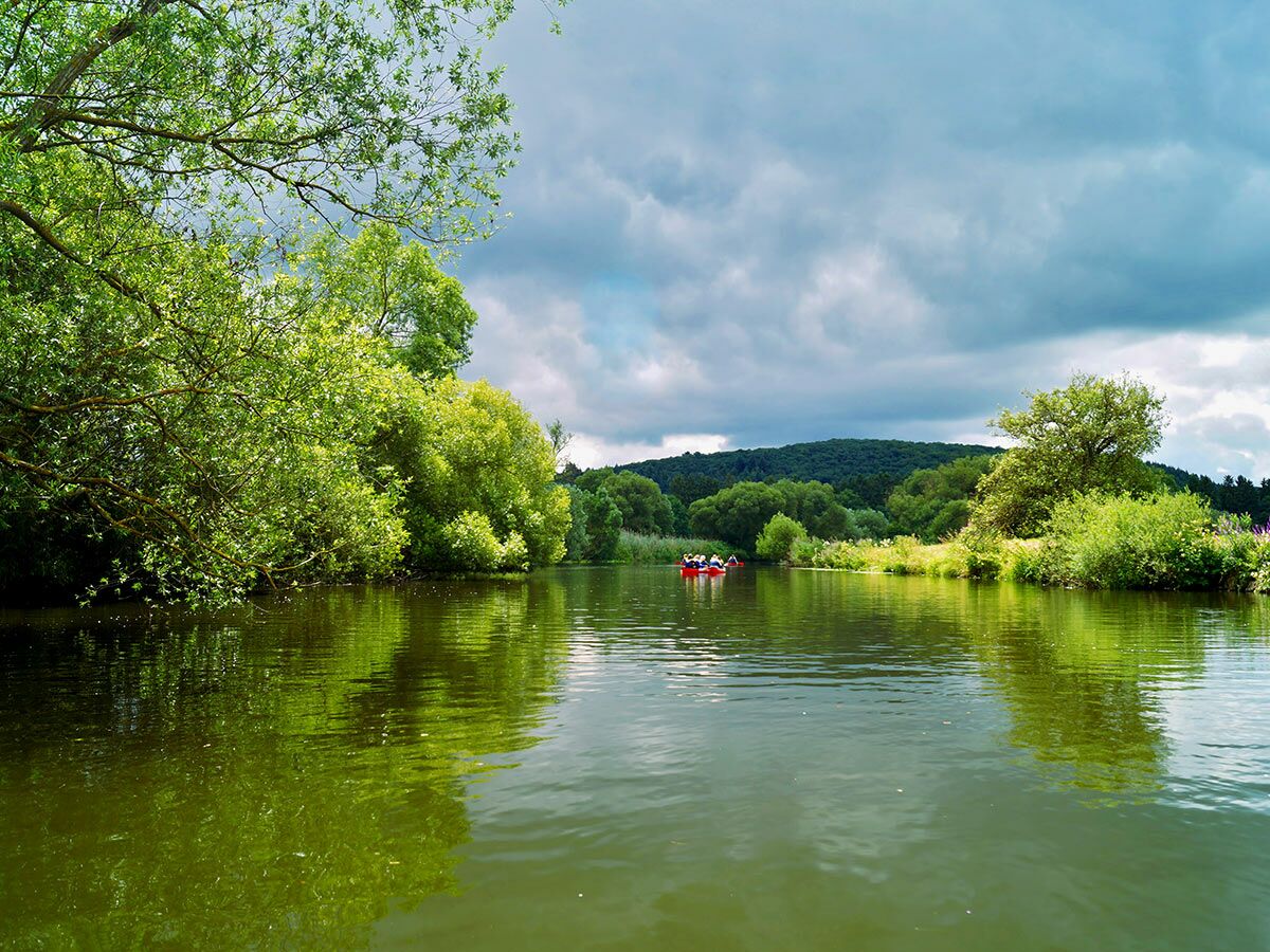 Menschen paddeln rote Kanus auf einem grünen Fluss, umgeben von üppiger Natur und Bäumen unter bewölktem Himmel.