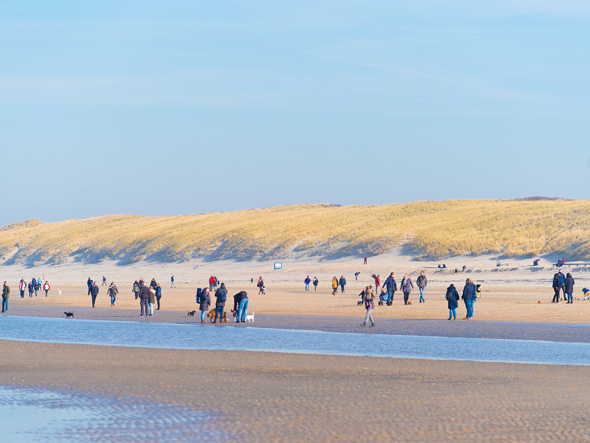 Viele Menschen machen einen Spaziergang am sonnigen Strand mit Hunden und Dünen im Hintergrund, teilweise am Wasser.
