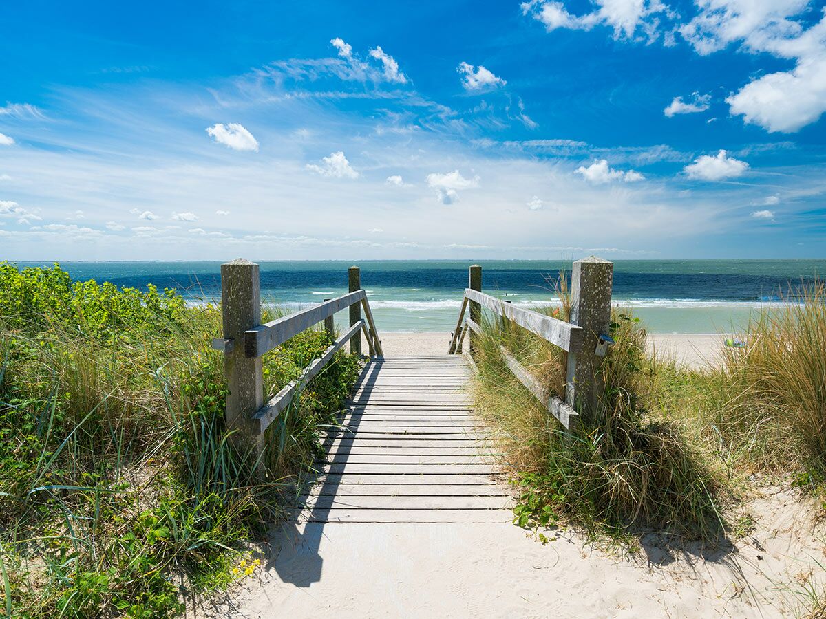 Ein Holzweg führt durch grüne Dünen zu einem sandigen Strand und dem blauen Meer unter einem sonnigen Himmel.