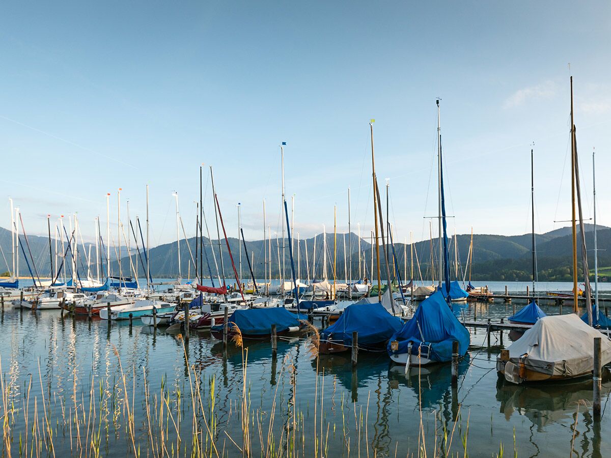 Zahlreiche Segelboote am Steg eines Sees mit grünen Bergen und klarem Himmel, Spiegelungen im Wasser und Schilf im Vordergrund.