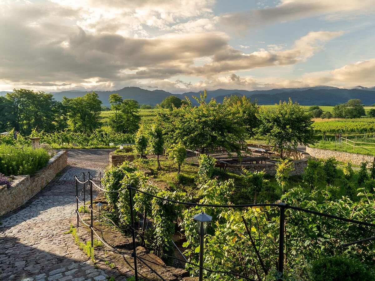 Malerischer Blick auf eine Weinberglandschaft mit Outdoor-Sitzplätzen, umgeben von Bäumen und Bergen bei Sonnenuntergang.