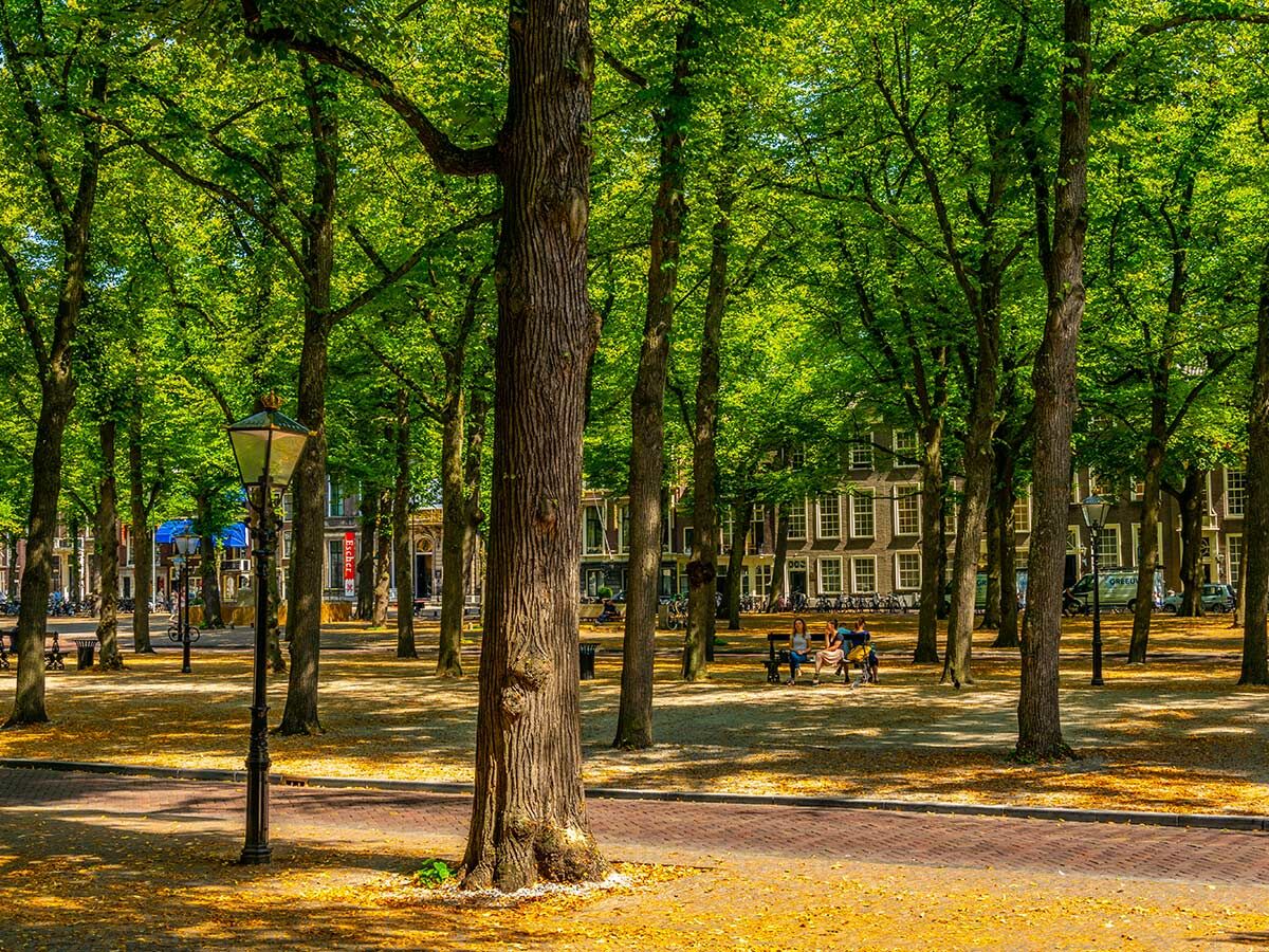 Sonnige Szene im Amsterdamer Stadtpark mit hohen Bäumen, alter Laterne, Backsteinweg und Menschen auf einer Bank.