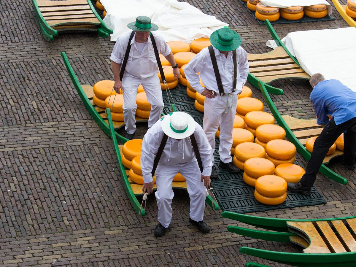 Männer in traditioneller Kleidung transportieren große, runde gelbe Käse auf Holzschlitten auf einem Käsemarkt.